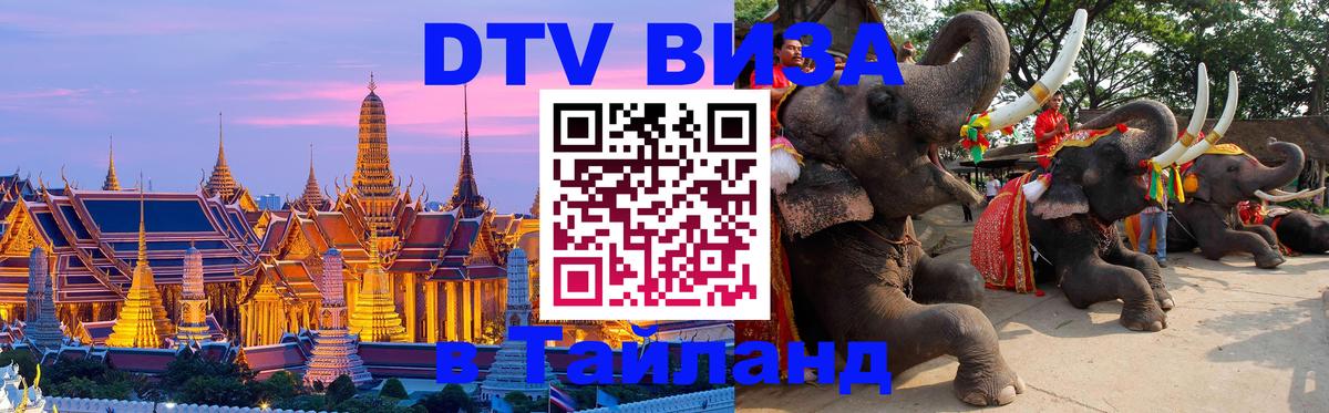 Сколько стоит DTV виза — актуальные цены, оформление даже без документов - 21.11.2025 